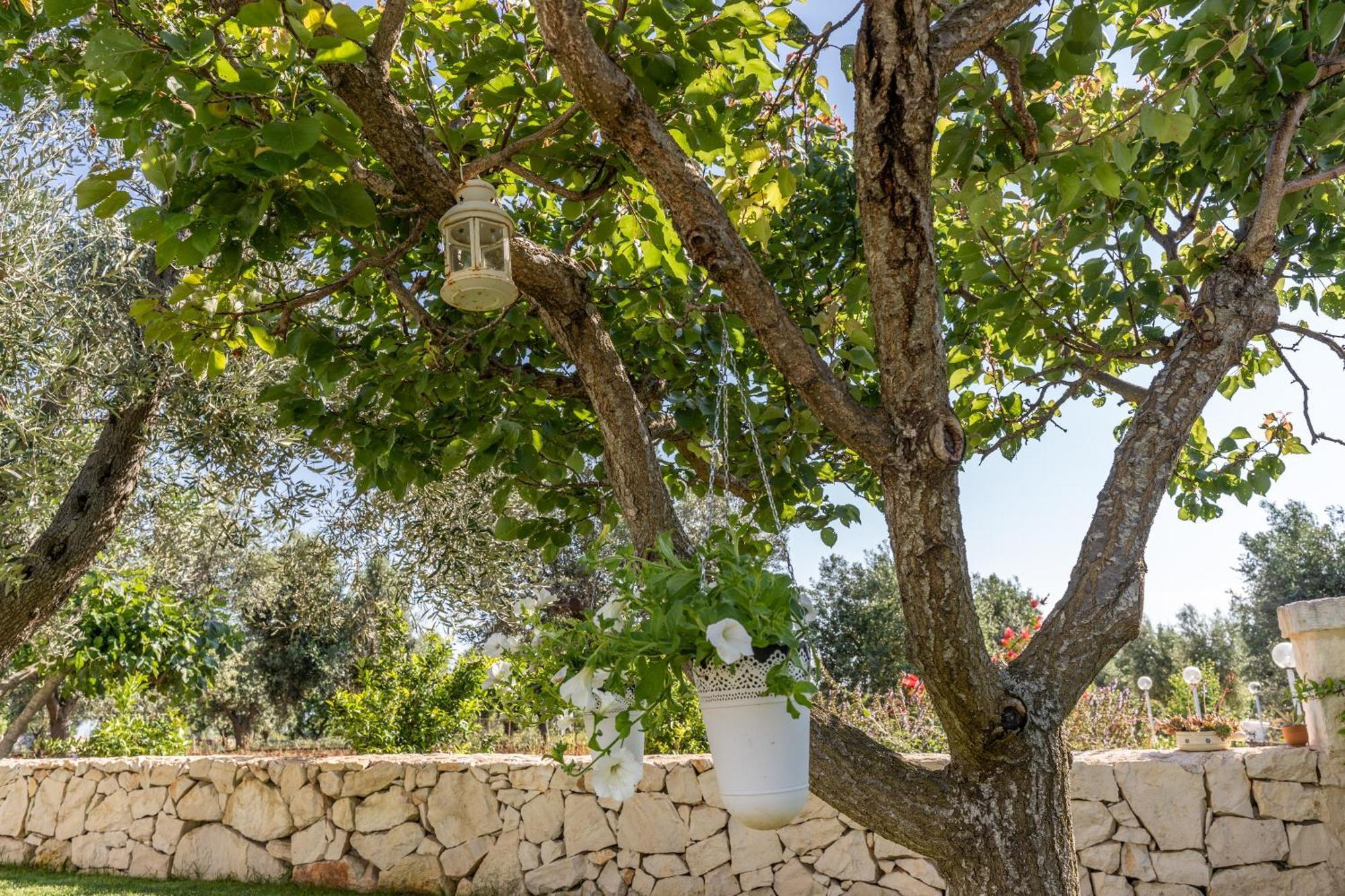 Trulli Morelli Ostuni Ngoại thất bức ảnh